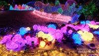 Light Festival di Garden Morning Calm