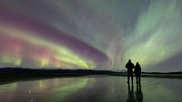 Fenomena Aurora di Taman Nasional Abisko (Foto: Lights Overlap Land)
