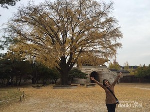 Aneka Tempat Wisata Korea yang Bikin K-dramalover Baper!