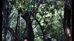 Aneka Tips Untuk Pendakian Gunung Bersama Keluarga