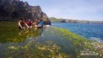 Angels Billabong, Mungkin Ini Tempat Tercantik di Bali