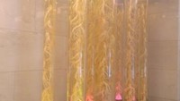 Ginseng yang diawetkan