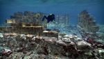 Apa? Ada Kota di Bawah Laut Yunani!