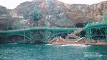 Apa Bedanya Disneysea dengan Disneyland?