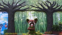 Rumah panda Huhu, An An, dan Lele berserta kawan-kawan.