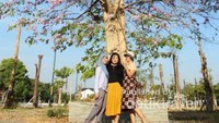 Salah satu pemandangan instagramble yang terdapat di halaman Pura mangkunegaran.