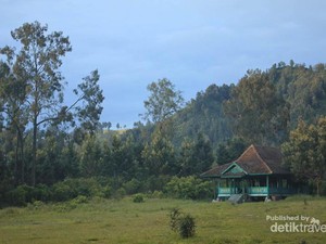 Api Biru, Hanya Ada di Indonesia dan Islandia