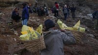 Penambang belerang mengangkut puluhan kilo hasil tambanganya per sekali angkut