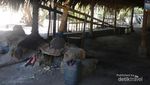 Arak Buatan Flores, Bisa Dibakar!