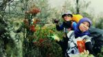 Arjuno-Welirang, Si Gunung Berapi Kembar dari Malang