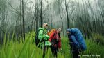 Arjuno-Welirang, Si Gunung Berapi Kembar dari Malang