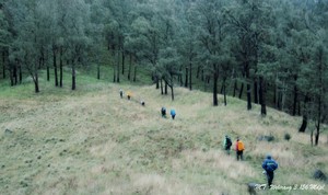 Arjuno-Welirang, Si Gunung Berapi Kembar dari Malang