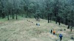 Arjuno-Welirang, Si Gunung Berapi Kembar dari Malang