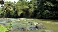 Arus sungai di awal rafting tidak terlalu besar