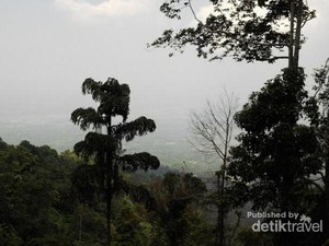 Aseupan, Gunung Mistis Habitat Kantong Semar di Pandeglang