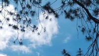 Danau yang di kelilingi Perbukitan