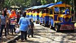 Asyik! 24 Juni Gratis Masuk Ragunan dan Naik TransJakarta