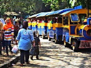 Asyik! 24 Juni Gratis Masuk Ragunan dan Naik TransJakarta