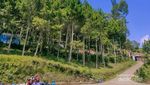 Asyik Juga Nih, Camping di Gunung Putri