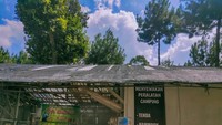 Kamu juga bisa sewa peralatan camp di sini.