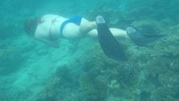 Snapshot underwater (wisman)