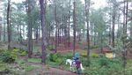 Asyiknya Berkuda di Hutan Pinus Malino, Sulsel