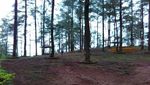 Asyiknya Berkuda di Hutan Pinus Malino, Sulsel