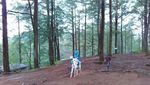 Asyiknya Berkuda di Hutan Pinus Malino, Sulsel