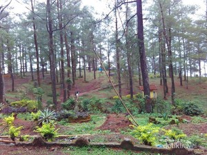 Asyiknya Berkuda di Hutan Pinus Malino, Sulsel