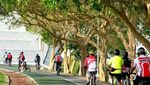 Asyiknya Gowes Sepeda di Qatar