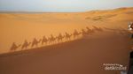 Asyiknya Jelajah Gurun Sahara di Maroko