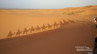 Beautiful Shadow during the trip