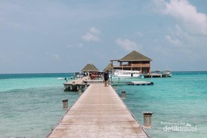 Asyiknya Liburan di Maldives, Puas Banget!