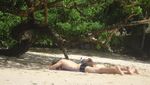 Asyiknya Long Weekend di Pantai Pangandaran, Jawa Barat