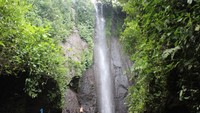 Tingginya mencapai 750 mdpl