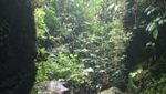 Asyiknya Main Basah-basahan di Curug Bogor