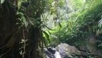 Asyiknya Main Basah-basahan di Curug Bogor