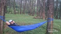 Hammock an di Hutan Pinus