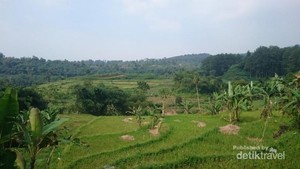 Asyiknya Main Basah-basahan di Curug Bogor