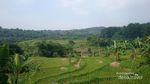 Asyiknya Main Basah-basahan di Curug Bogor