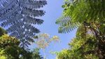 Asyiknya Main Basah-basahan di Curug Ciparay