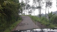 Jalan menuju Curug Putri yang hanya muat satu mobil saja