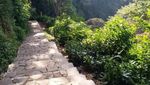 Asyiknya Mudik Ke Bandung, Ada Curug Tertinggi di Jawa Barat