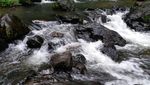 Asyiknya Mudik Ke Bandung, Ada Curug Tertinggi di Jawa Barat