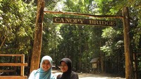 Gerbang masuk Canopy Bridge