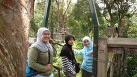 Di atas Canopy Bridge