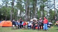 Menikmati udara sejuk di kawasan pinus Malino