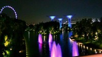 Garden By the Bay di malam hari