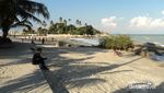 Awas! Ada Elang Laut Raksasa di Pantai Parai, Bangka