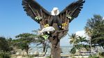 Awas! Ada Elang Laut Raksasa di Pantai Parai, Bangka